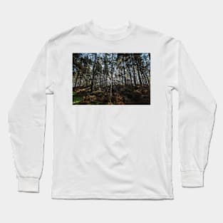 Light Through the Trees Long Sleeve T-Shirt